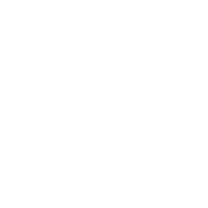 Annecy Festival logo-Annecy_Festival-color-2